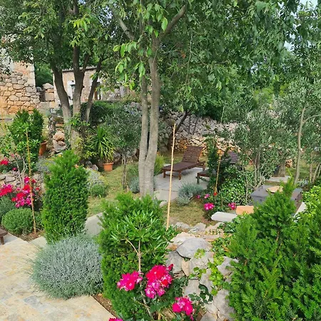 Altes Steinhaus Goranova Kuca By Interhome * סלינה