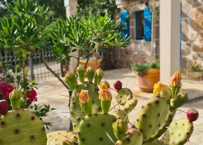 Vakantiehuis Altes Steinhaus Goranova Kuca By Interhome